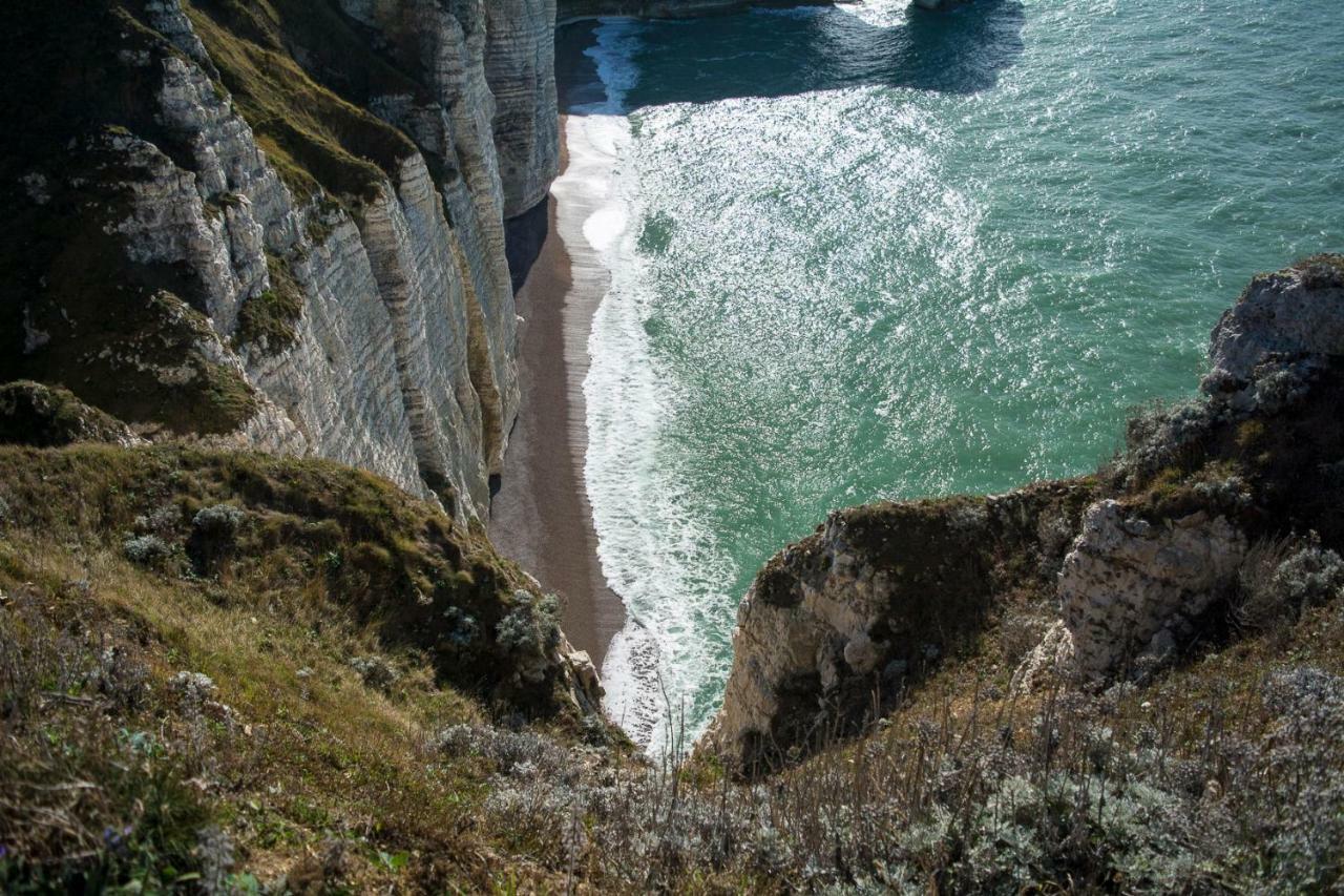 Les Charmes Du Bosquet Parc D'Amour Et Nature Parking Prive Securise Etretat Exterior photo
